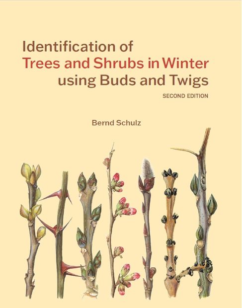 Identification of Trees and Shrubs in Winter Using Buds and Twigs