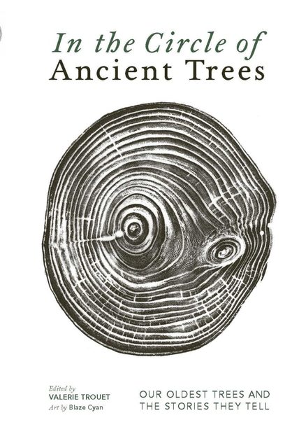 In the Circle of Ancient Trees