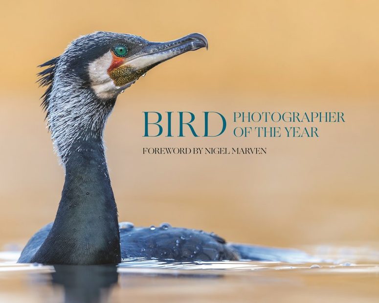 Bird Photographer of the Year, Collection 10
