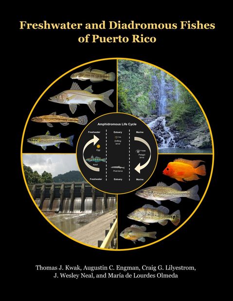 Freshwater and Diadromous Fishes of Puerto Rico