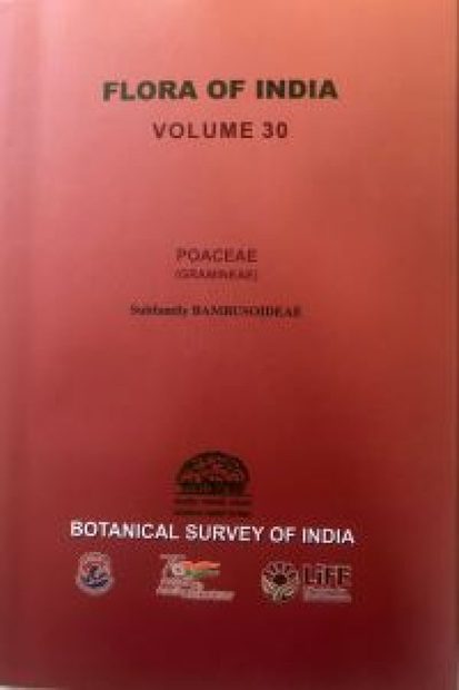 Flora of India, Volume 30: Poaceae (Gramineae): Subfamily Bambusoideae