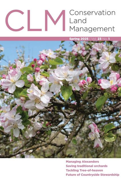 CLM 23.1 Spring 2025