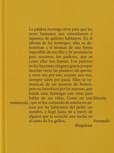 Fernando Maquieira: A Tiny Story