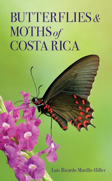 Butterflies & Moths of Costa Rica