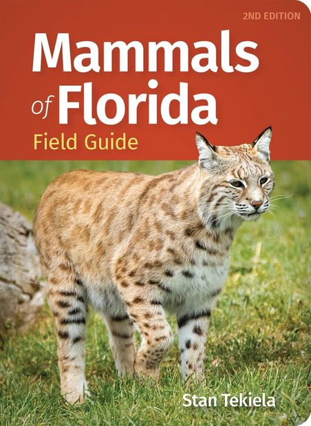 Mammals of Florida