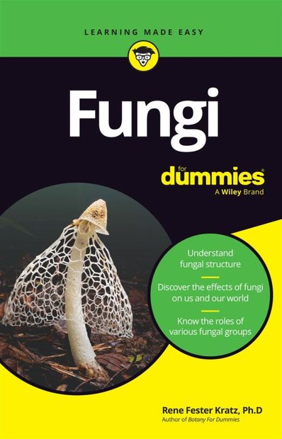 Fungi for Dummies