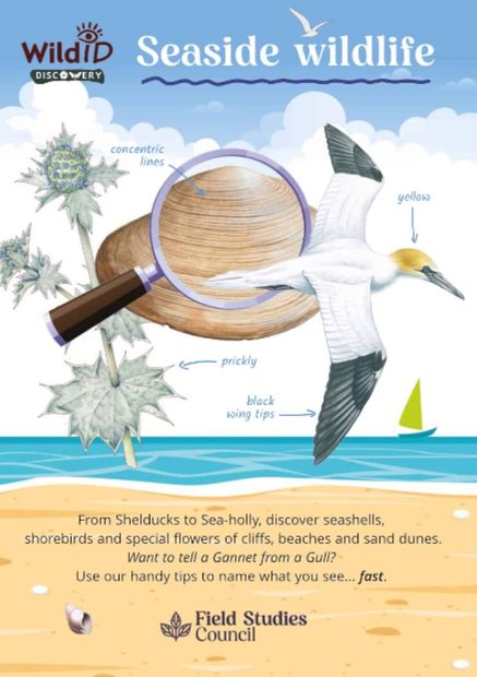 FSC Discovery Guide: Seaside Wildlife