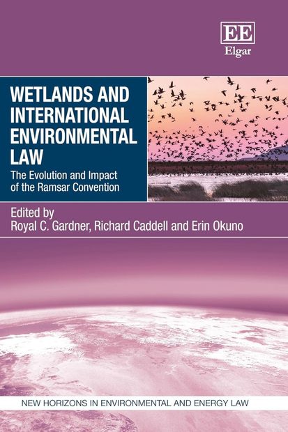 Wetlands and International Environmental Law