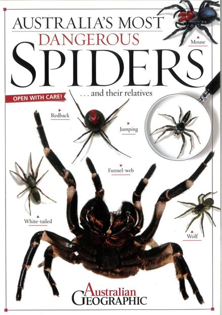Australia's Most Dangerous Spiders