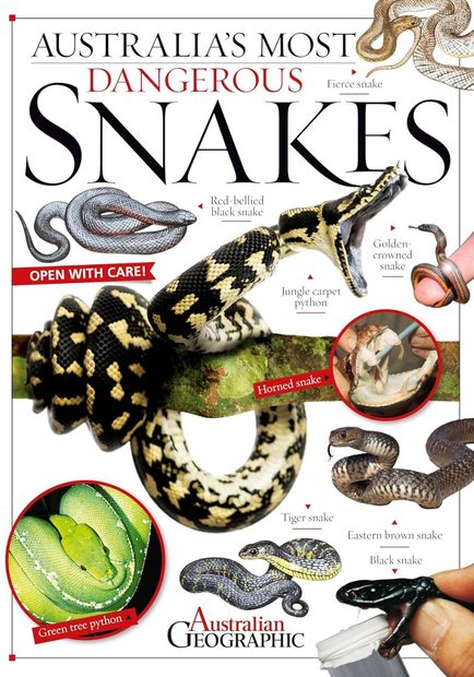 Australia's Most Dangerous Snakes