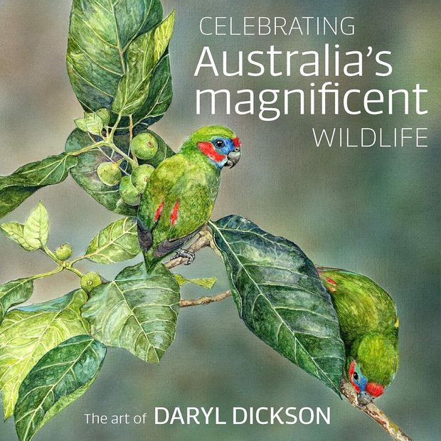 Celebrating Australia's Magnificent Wildlife