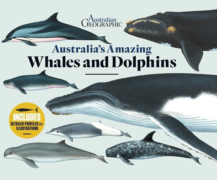 Australia's Amazing Whales and Dolphins