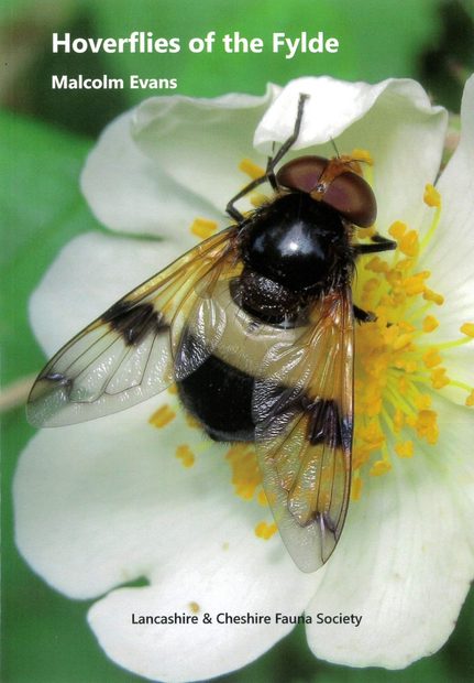Hoverflies of the Fylde