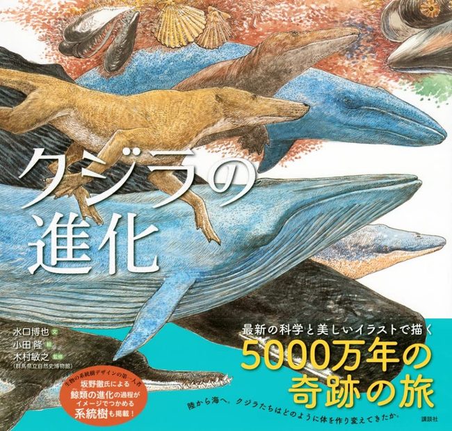 Kujira no Shinka [The Evolution of Whales]