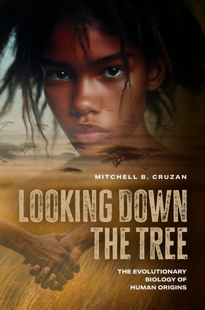 Looking Down the Tree