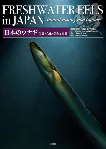 Freshwater Eels in Japan: Natural History and Culture [Japanese]