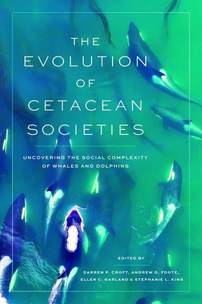 The Evolution of Cetacean Societies