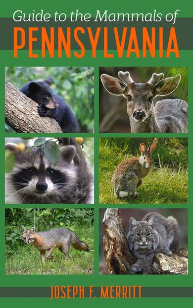 Guide to the Mammals of Pennsylvania | NHBS Field Guides & Natural History