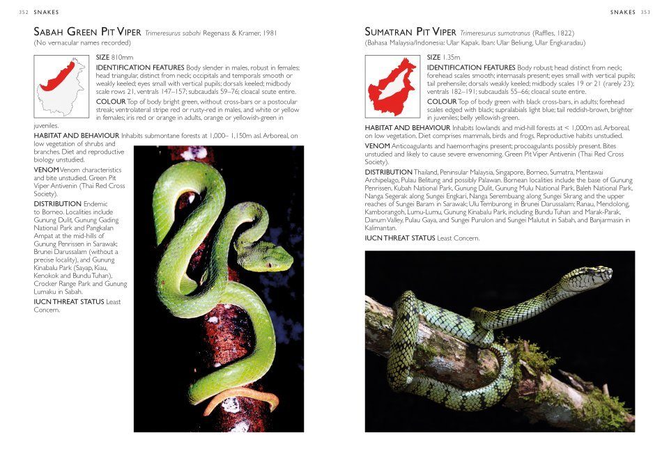 A Field Guide To The Reptiles Of Borneo NHBS Field Guides Natural A Field Guide To The Reptiles Of Borneo NHBS Field Guides Natural