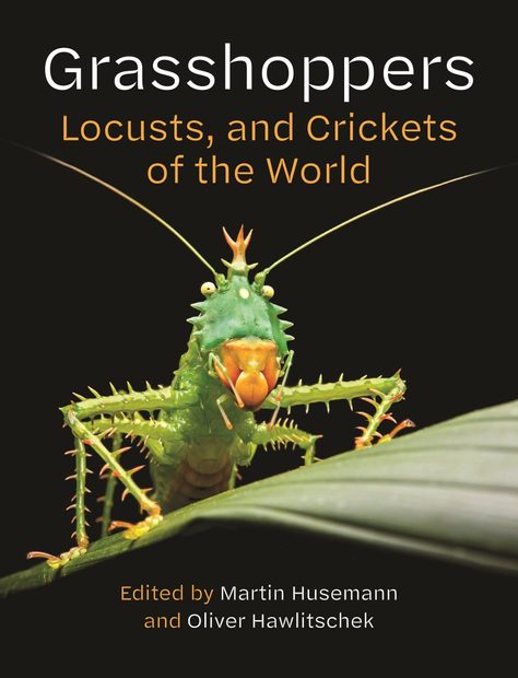 Grasshoppers, Locusts, and Crickets of the World