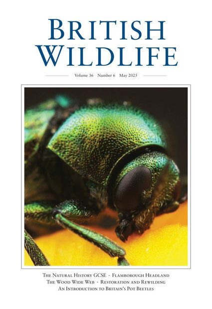 British Wildlife 36.6 May 2025