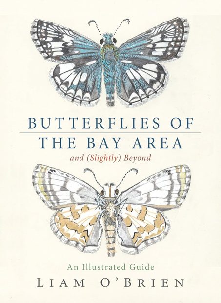 Butterflies of the Bay Area and (Slightly) Beyond