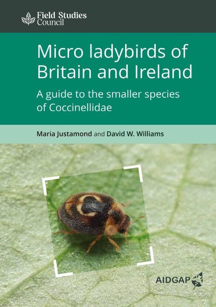 Micro Ladybirds of Britain and Ireland