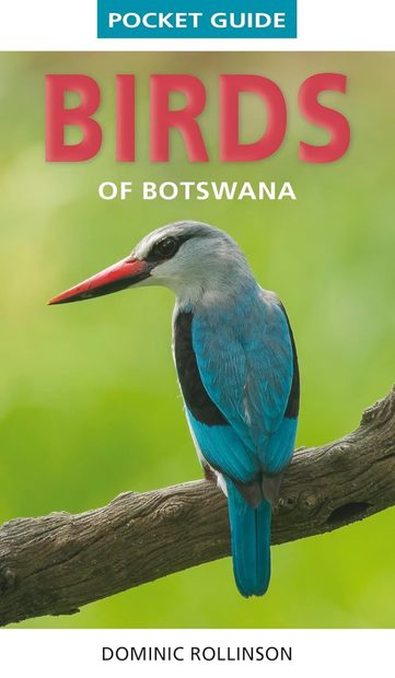 Struik Pocket Guide: Birds of Botswana