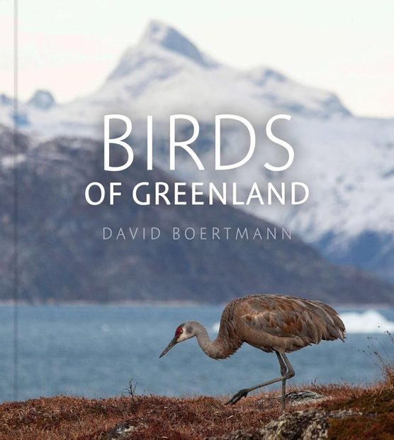 Birds of Greenland