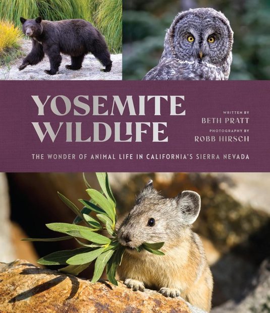 Yosemite Wildlife
