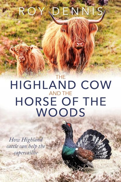 The Highland Cow and the Horse of the Woods