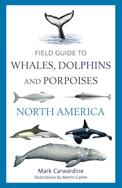 Field Guide to Whales, Dolphins and Porpoises of North America