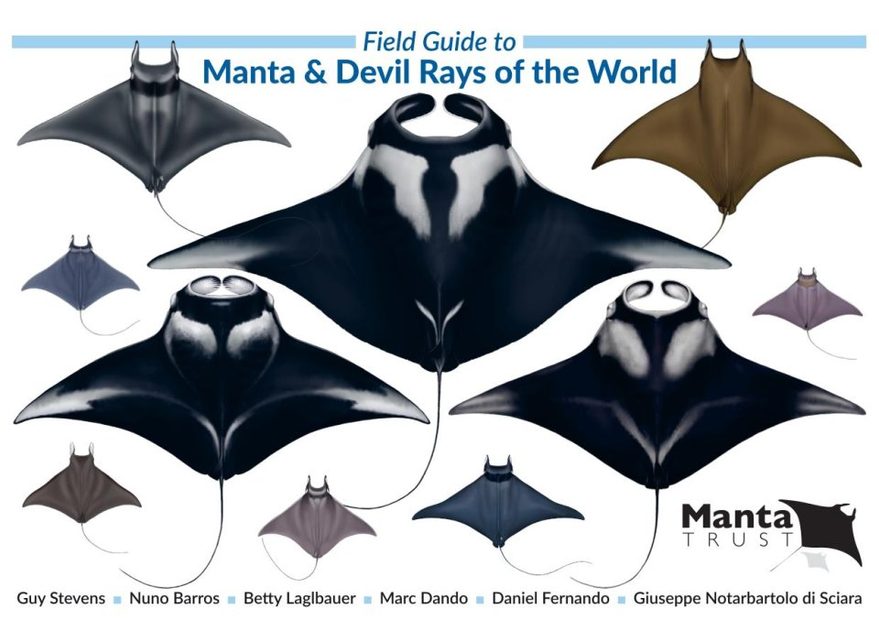 Field Guide to Manta & Devil Rays of the World