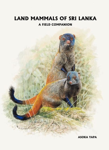 Land Mammals of Sri Lanka