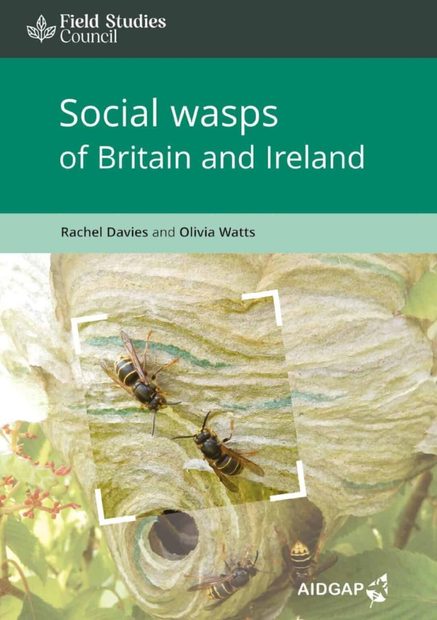 Social Wasps of Britain and Ireland