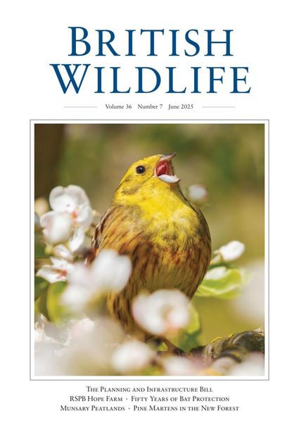 British Wildlife 36.7 June 2025