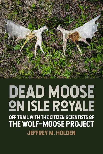Dead Moose on Isle Royale