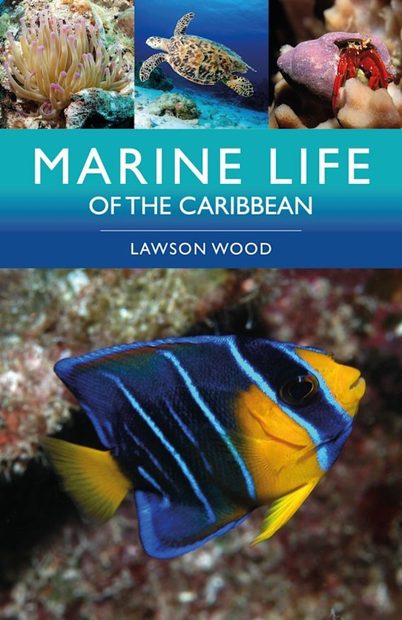 Marine Life of the Caribbean | NHBS Field Guides & Natural History