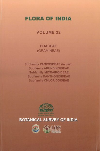Flora of India, Volume 32: Poaceae (Gramineae), Part 2