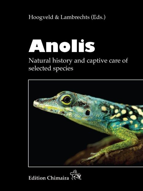 Anolis