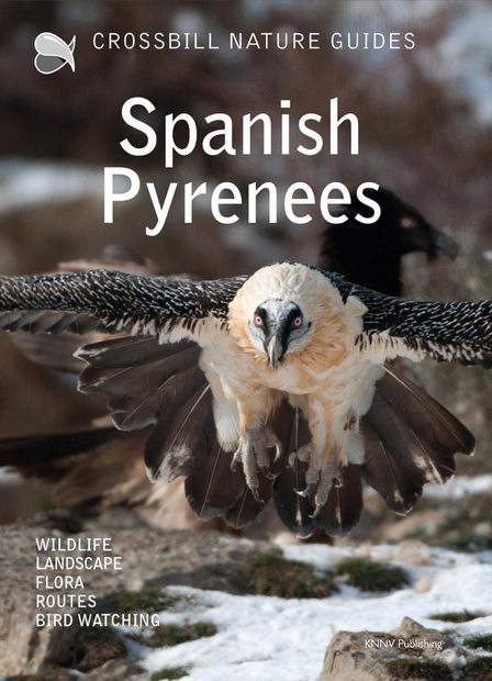 Crossbill Guide: Spanish Pyrenees