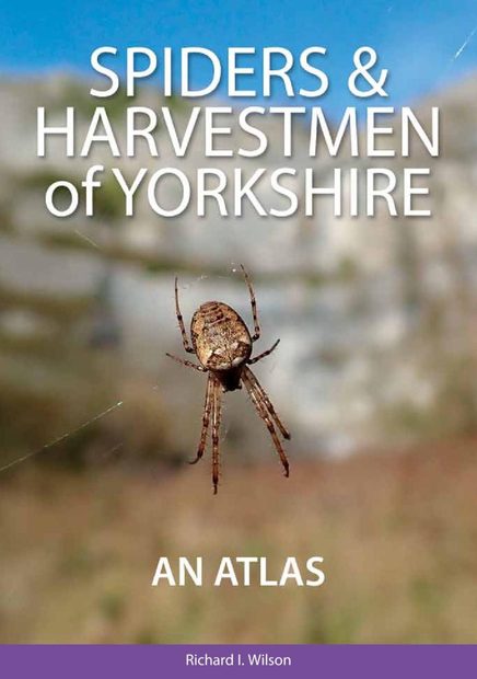 Spiders & Harvestmen of Yorkshire