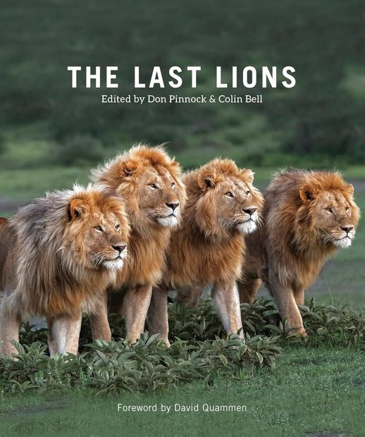 The Last Lions