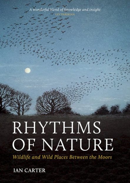 Rhythms of Nature