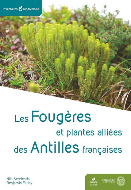 Les Ptéridophytes des Antilles Françaises [The Pteridophytes of the French Antilles]