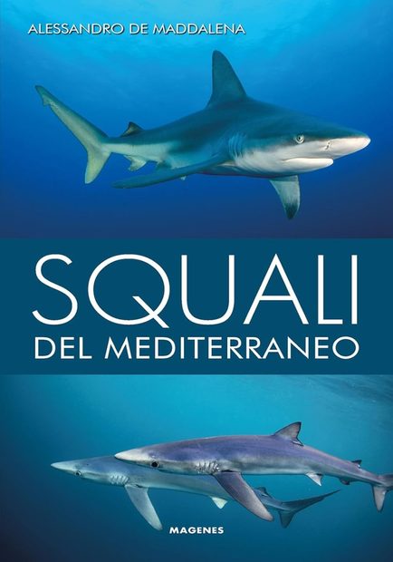 Squali del Mediterraneo [Sharks of the Mediterranean]