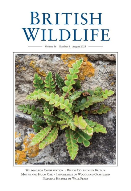 British Wildlife 36.8 August 2025