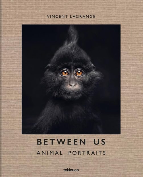 Between Us: Animal Portraits [English / German]