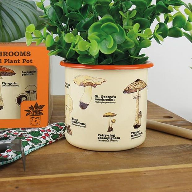  Mushroom Plant Pot 
