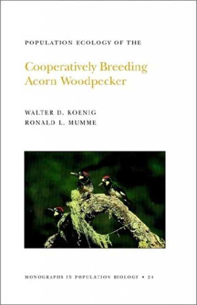 Population Ecology of the Cooperatively Breeding Acorn Woodpecker